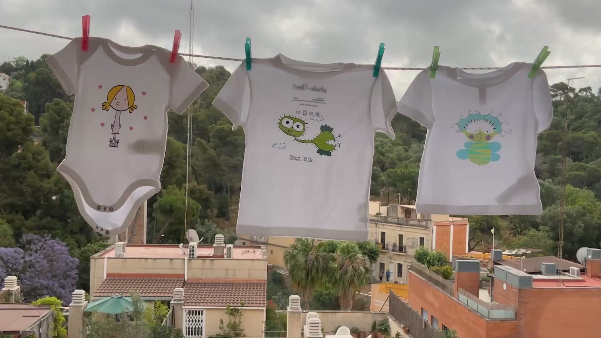 Cargar video: 